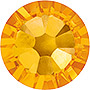Sunflower - November