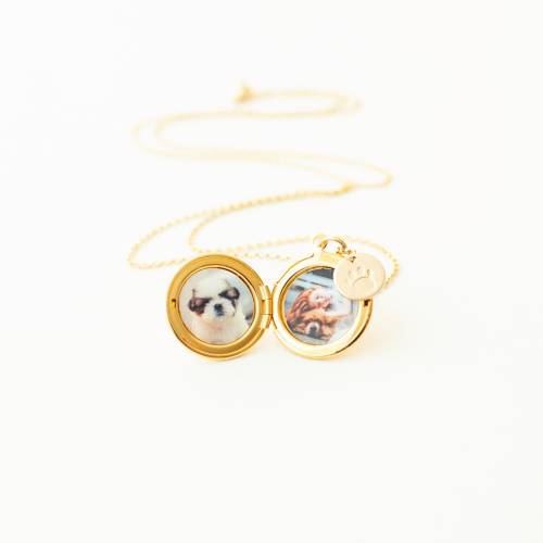 Pet Remembrance Locket in Silver, Rose Gold and Gold Locket - Choose 0-2 Photos