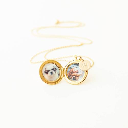 Pet Remembrance Locket in Silver, Rose Gold and Gold Locket - Choose 0-2 Photos